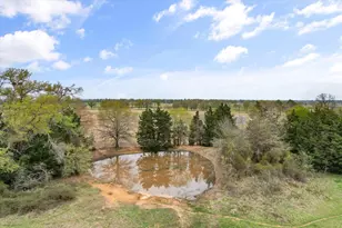 230 Co Rd 141, Streetman, TX 75859 - Photo 24