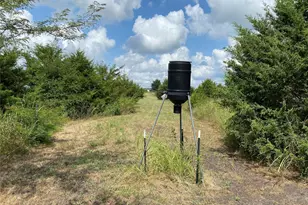 2774 Co Rd 658, Farmersville, TX 75442 - Photo 10