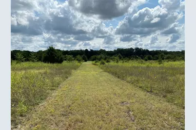 2774 County Road 658, Farmersville, TX 75442 - Photo 6