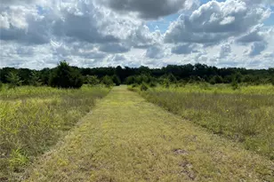 2774 Co Rd 658, Farmersville, TX 75442 - Photo 6