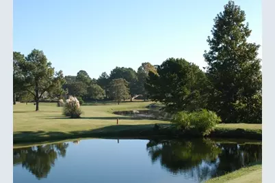 Lots 316 & 317 Brazos Bend, Holly Lake Ranch, TX 75765 - Photo 16