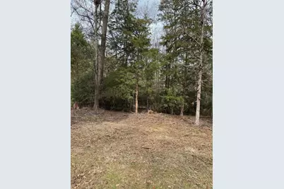 Lots 316 & 317 Brazos Bend, Holly Lake Ranch, TX 75765 - Photo 6