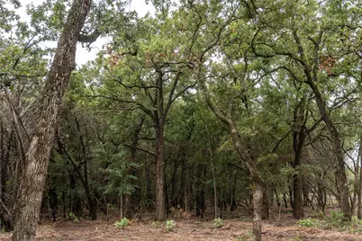 T4 Coleman Ranch Road, Tolar, TX 76476 - Photo 12