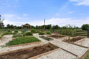 274 Cr 3230 SW, Winnsboro, TX 75494 - Photo 10