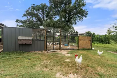 274 Cr 3230 SW #3230, Winnsboro, TX 75494 - Photo 14