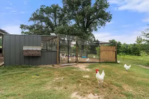 274 Cr 3230 SW, Winnsboro, TX 75494 - Photo 14