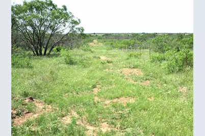 Tr 3 Boren, Ringgold, TX 76241 - Photo 4