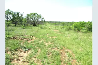 Tr 4 Boren, Ringgold, TX 76241 - Photo 6