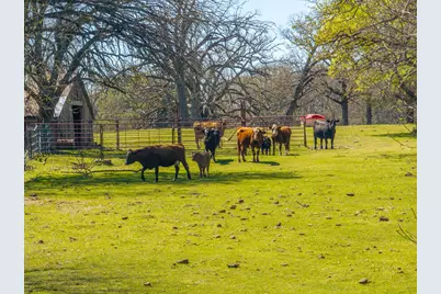 10610 County Road 3605, Quinlan, TX 75474 - Photo 38