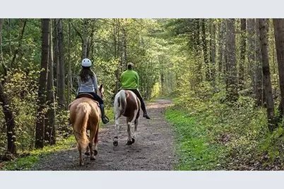 Tbd Fm 1171, Flower Mound, TX 75022 - Photo 26