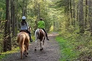 Tbd Fm 1171, Flower Mound, TX 75022 - Photo 26