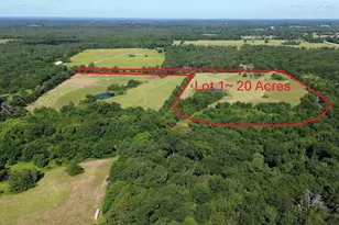 Lot 1 Rains Cr1140 Rd, Emory, TX 75440 - Photo 1