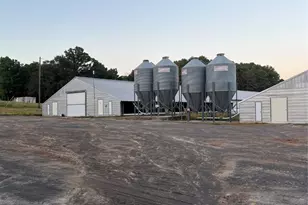 737 Co Rd 2855, Hughes Springs, TX 75656 - Photo 6