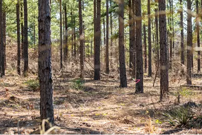 Tbd State Highway 64, Ben Wheeler, TX 75754 - Photo 14