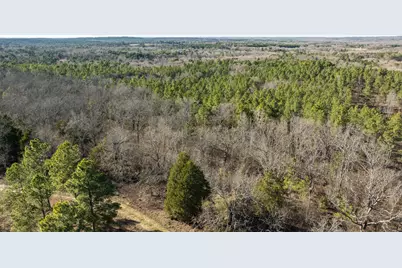 Tbd State Highway 64, Ben Wheeler, TX 75754 - Photo 26