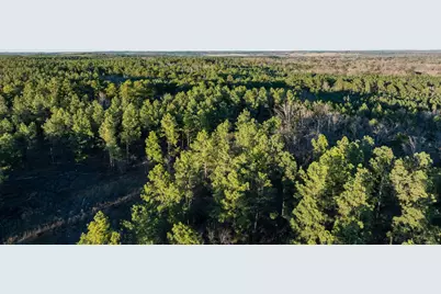 Tbd State Highway 64, Ben Wheeler, TX 75754 - Photo 32
