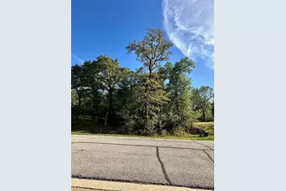 27A Annadale Lane, Gordonville, TX 76245 - Photo 4