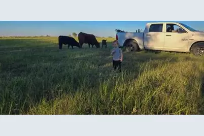 4321 County Road 220, Gatesville, TX 76528 - Photo 4