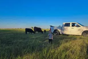 4321 Co Rd 220, Gatesville, TX 76528 - Photo 4