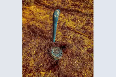 0 E Private Road 8344, Palestine, TX 75803 - Photo 34