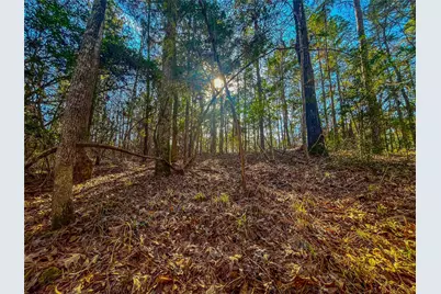 0 E Private Road 8344, Palestine, TX 75803 - Photo 12