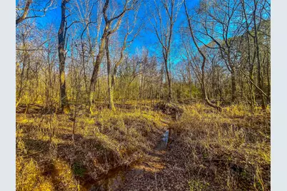 0 E Private Road 8344, Palestine, TX 75803 - Photo 28