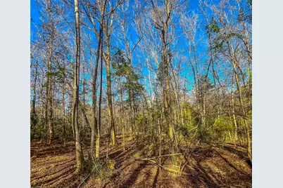 0 E Private Road 8344, Palestine, TX 75803 - Photo 20