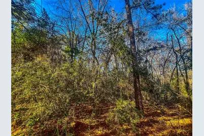 0 E Private Road 8344, Palestine, TX 75803 - Photo 36