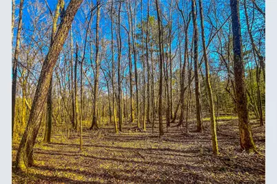 0 E Private Road 8344, Palestine, TX 75803 - Photo 24