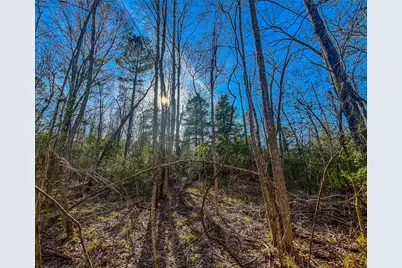 0 E Private Road 8344, Palestine, TX 75803 - Photo 22