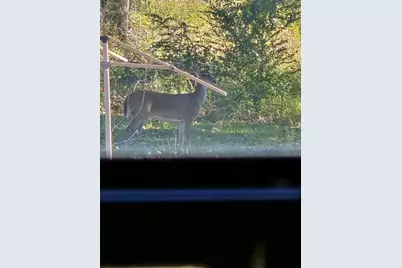 1478 Creek Crossing Trail, Wills Point, TX 75169 - Photo 30