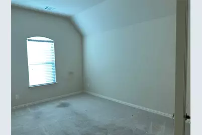 16207 Mapleshade Drive, Frisco, TX 75035 - Photo 14