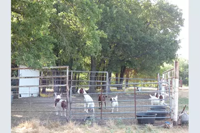 142 County Road 1591 Road, Alvord, TX 76225 - Photo 30