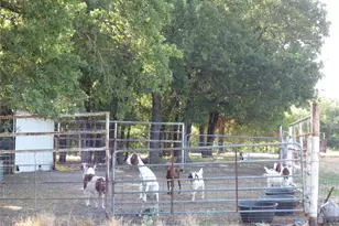 142 County Road 1591 Rd, Alvord, TX 76225 - Photo 30