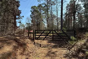 3350 Fm 852, Winnsboro, TX 75494 - Photo 8