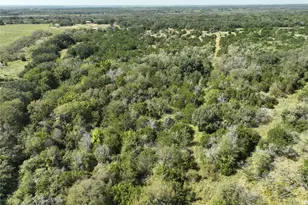 1695 Fm 2823, Carlton, TX 76436 - Photo 38