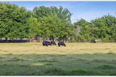 405 W Clifton Street, Pilot Point, TX 76258 - Photo 24