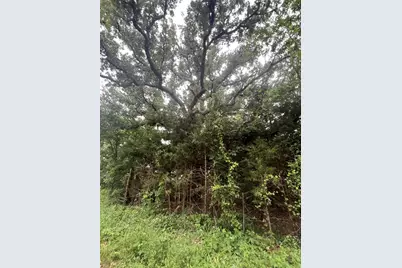 Tract 6 County Rd 14720, Paris, TX 75417 - Photo 2