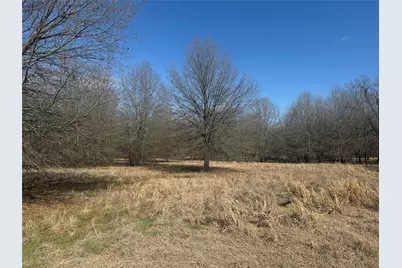 Tbd Pr 44005, Blossom, TX 75416 - Photo 4