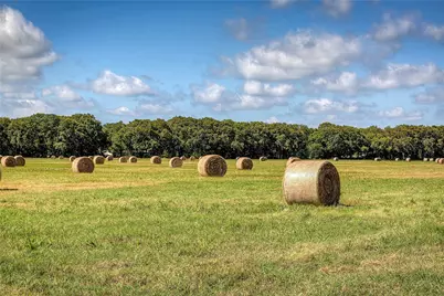 3812 County Road 120, Wills Point, TX 75169 - Photo 16