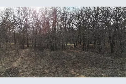 Tbd Red Oak Hills Road, Nocona, TX 76255 - Photo 14