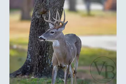 9310 Bellechase Road, Granbury, TX 76049 - Photo 40