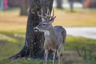 9310 Bellechase Rd, Granbury, TX 76049 - Photo 40