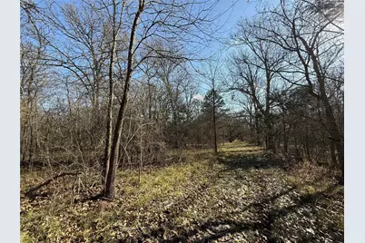 Tbd Cr 4744, Sulphur Springs, TX 75482 - Photo 24