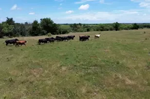 7 5 Acres Keyes Rd, Sherman, TX 75092 - Photo 1