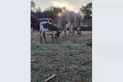 645 County Road 4160, Bonham, TX 75418 - Photo 34