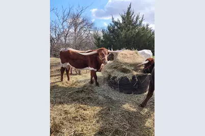 645 County Road 4160, Bonham, TX 75418 - Photo 36
