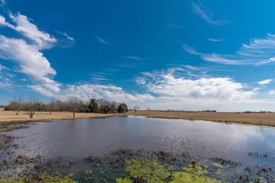 Tbd W Fm-1566, Celeste, TX 75423 - Photo 4
