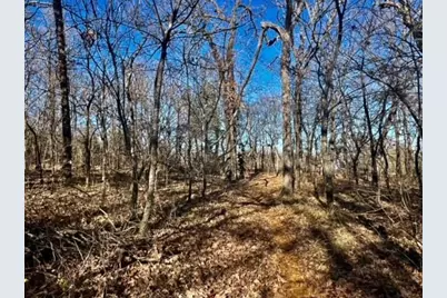 10 Ac Fm 1753 Highway, Bells, TX 75021 - Photo 18