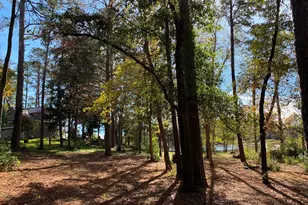 11524 Drakes Lndg, Frankston, TX 75763 - Photo 20